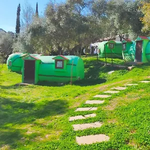 Sandía Campo de lujo